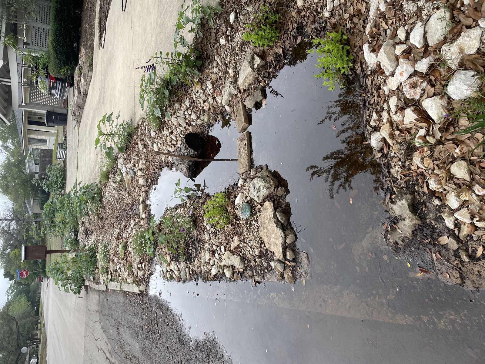 Dry-creek bioswale carrying stormwater during rain